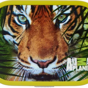 Mepal Brotdose Campus – Animal Planet Tiger 9