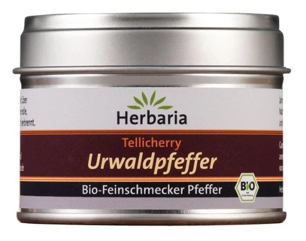 Herbaria Tellicherry Urwaldpfeffer 1