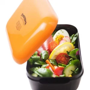 Frozzypack Lunchbox Original In Orange 13